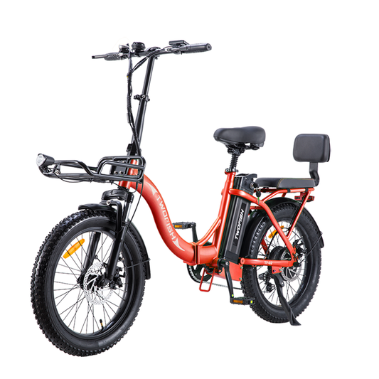 Twofish TF-2Ebike