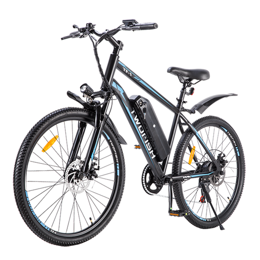 TWOFISH TF-1 Ebike