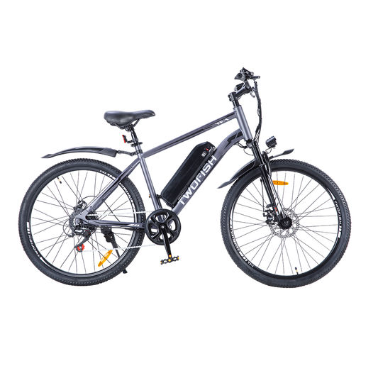TWOFISH TF-1 Ebike