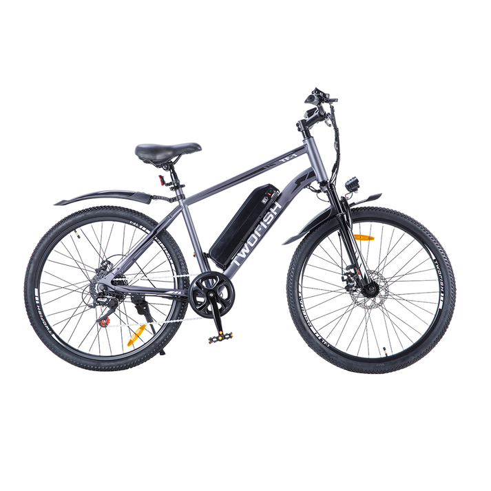 TWOFISH TF-1 Ebike – TWOFISH SPORT