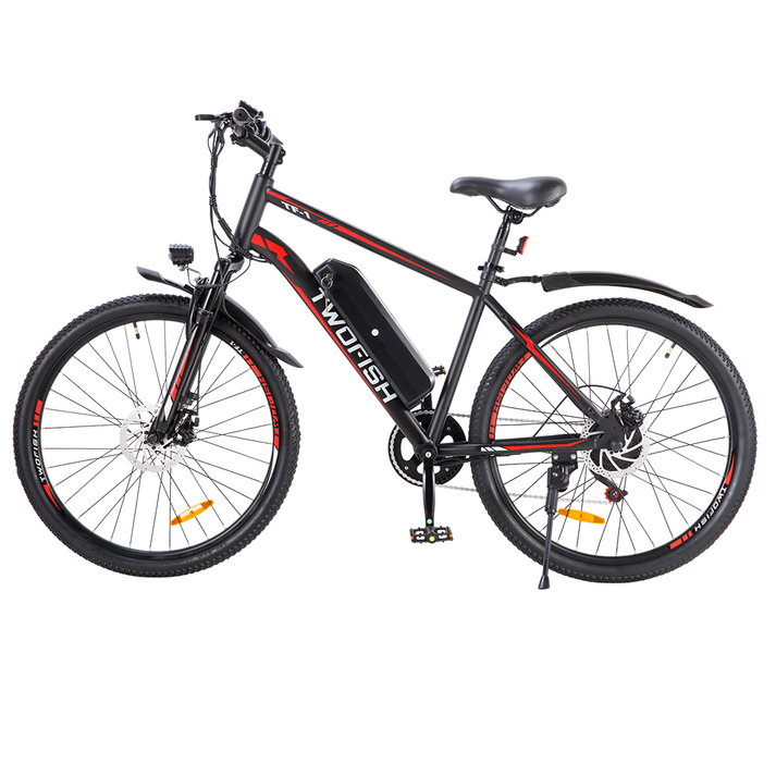 TWOFISH TF-1 Ebike – TWOFISH SPORT