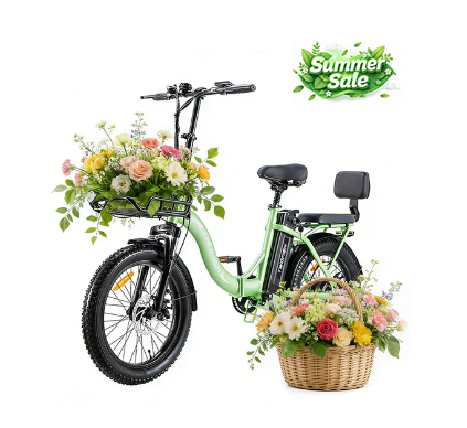 Twofish TF-2Ebike